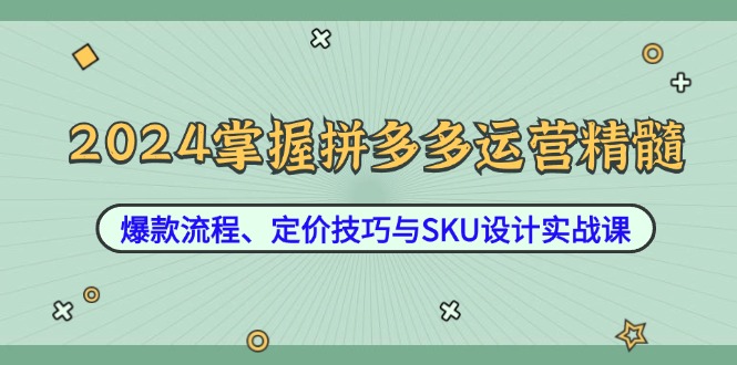 2024掌握拼多多运营精髓：爆款流程、定价技巧与SKU设计实战课-副创网