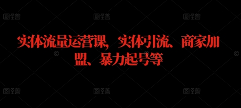 实体流量运营课，实体引流、商家加盟、暴力起号等-副创网